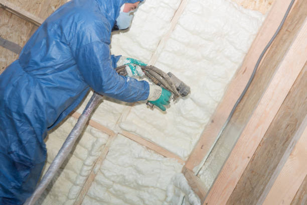 Best Attic Insulation Installation  in Castalia, OH